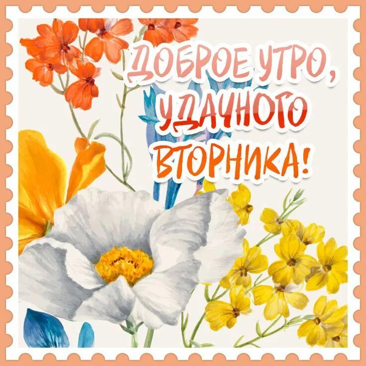 С добрым октябрьским утром вторника картинки. Доброе весеннее утро вторника. пожелания с добрым утром с цветами и красивыми словами. пожелания доброго утра.