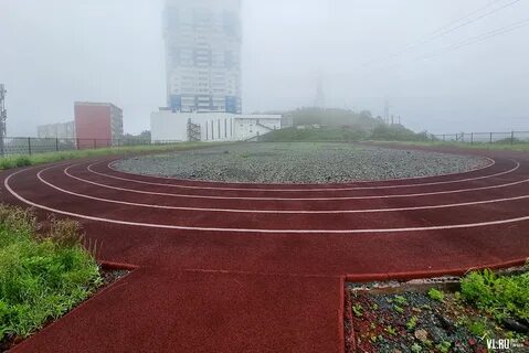 Сабанеева 2024
