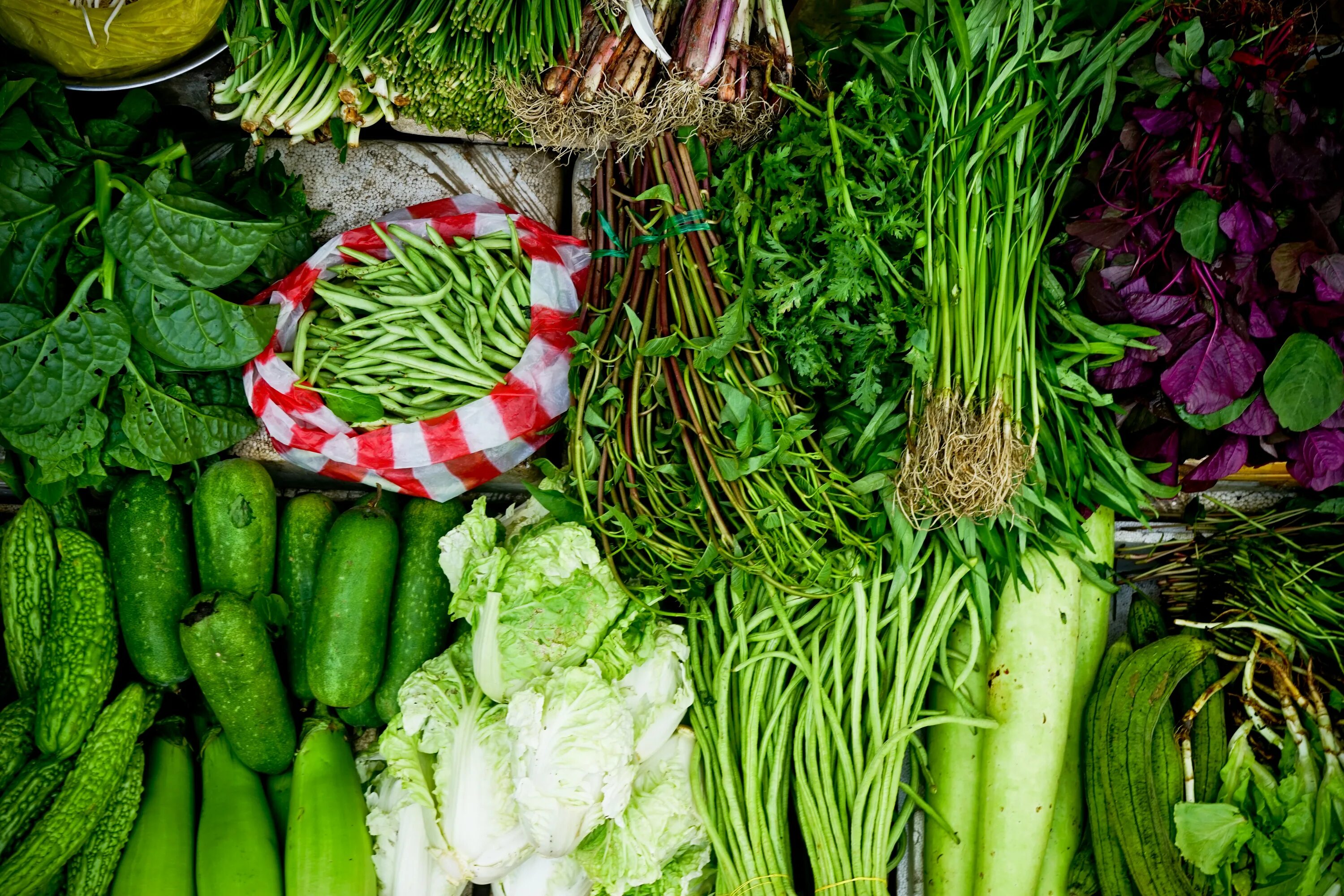 Vegetables are green. Овощи и зелень. Зеленые овощи и фрукты. Свежие овощи и зелень. Овощная зелень.