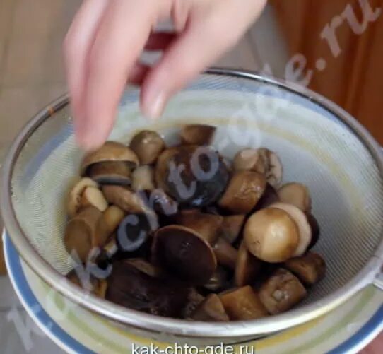 можно ли замариновать замороженные грибы. ). как сохранить жареные шампиньоны в морозилке. заморозка грибов маслят. песочники грибы способы приготовления засолить.