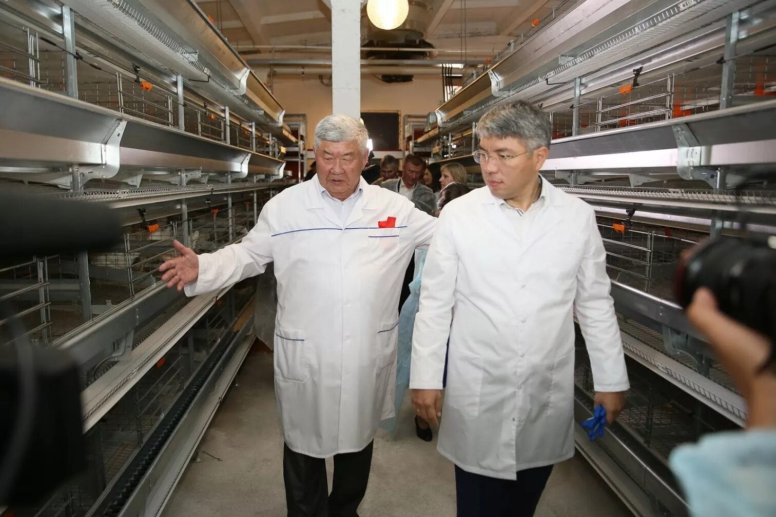 Улан удэнская птицефабрика. Улан-удэнская птицефабрика ао. Улан удэнская птицефабрика. Улан-удэнская птицефабрика фото. Куры птицефабрика улан-удэ.