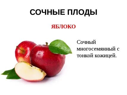Как называется плод яблока