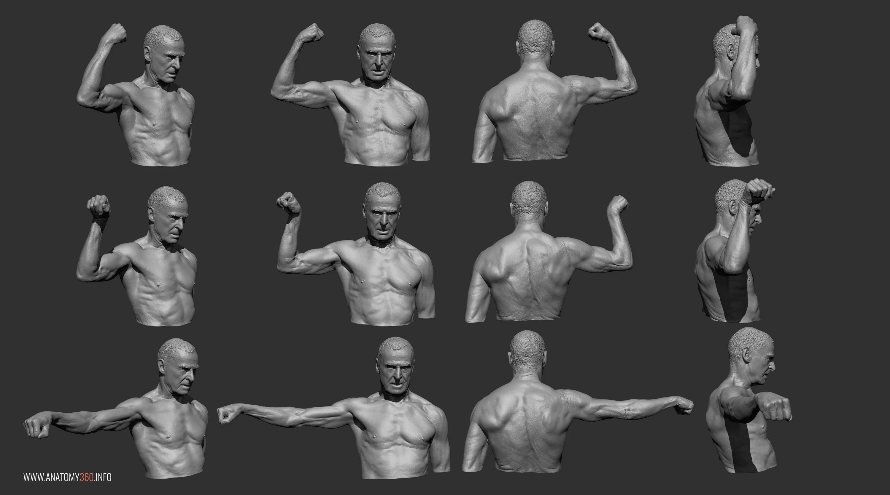 рука в локте референс. рука в локте референс. упражнение поднятие рук. локти референс согнутые. дыхательная гимнастика стрельниковой погончики.