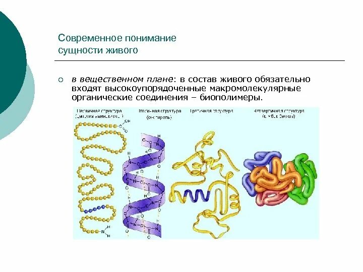 Какой биополимер изображен на рисунке. Современное понимание сущности живого. современное понятие сущности живого. регулярные биополимеры. биополимеры это в биологии.