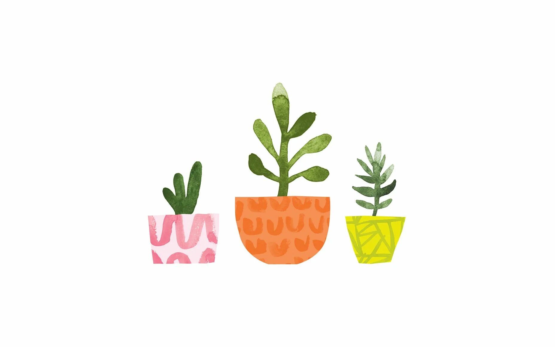 Simply plants. Растения Графика дизайн жёлтый. Наклейки на обои зелень. Plant illustration PNG.