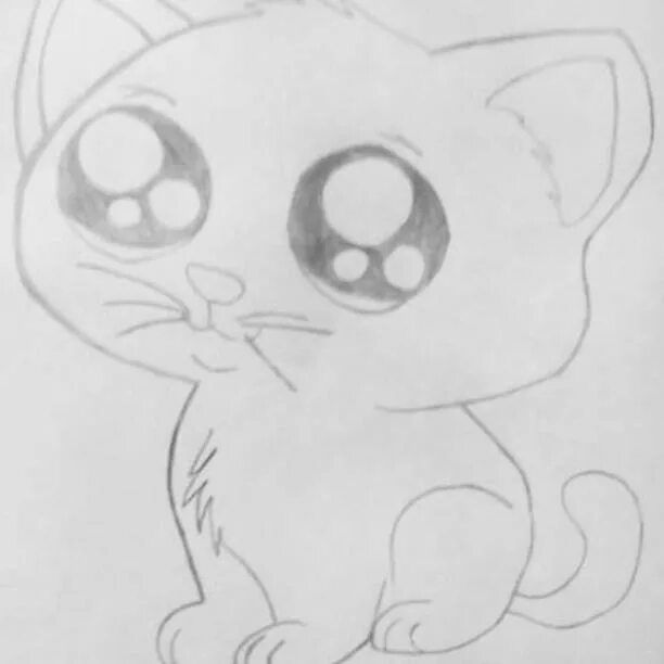Рисунок кошки карандашом для срисовки. Срисовка кота для начинающих. Срисовка кота для начинающих. Срисовка кота для начинающих. Лёгкие рисунки для срисовки карандашом для начинающих.