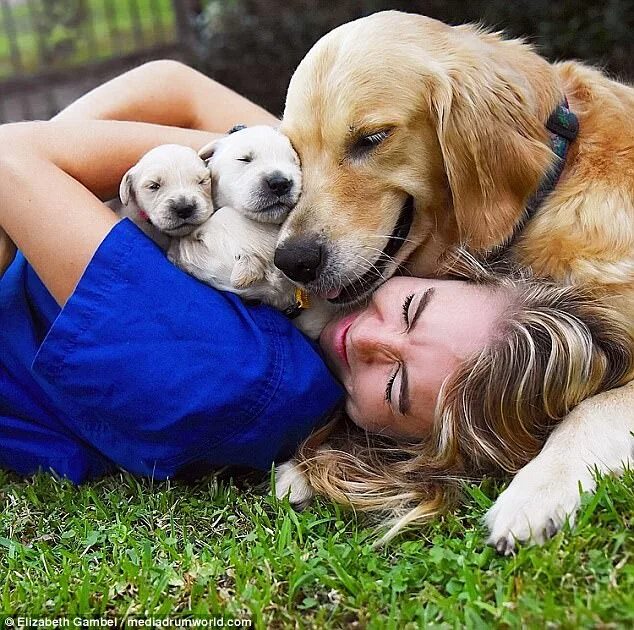 Любовь к животным. Обнимает собаку. Животные братья наши меньшие. Love to animals. Фотосессия девушка с собакой.