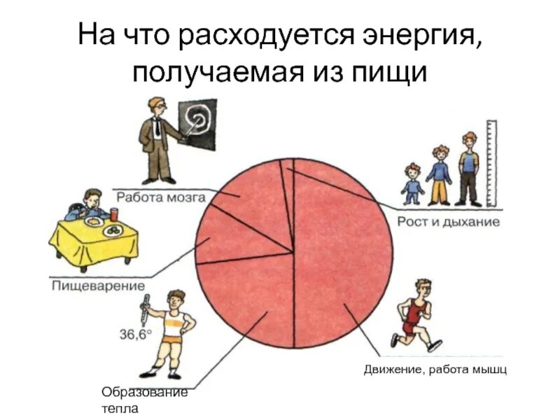 Куда расходуется энергия. Расход энергии квт ч. Таблица расхода энергии при различных видах деятельности человека. Уменьшение затрат на электроэнергию. Расчет среднего потребления электроэнергии бытовыми приборами.