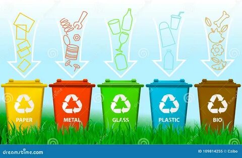 Plant flowers recycle cans collect