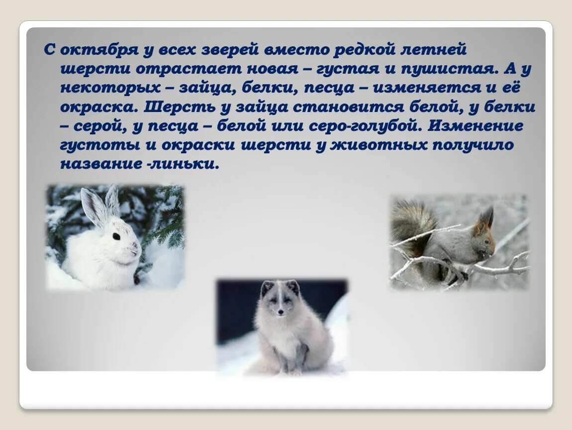 Повысилась чувствительность к холоду. Чувствительный к холоду как называется 6. Какие животные живут в холоде. Терманестезия. Чувствительный к холоду как называется 6.