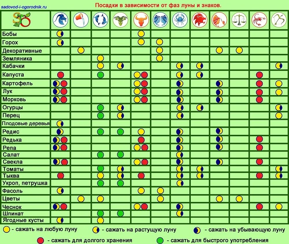 Знаки фаз луны. Фаза в каком знаке зодиака. Зодиакальный круг знаков зодиака с планетами. Операции по знакам зодиака. Зодиакальный круг накшатры.