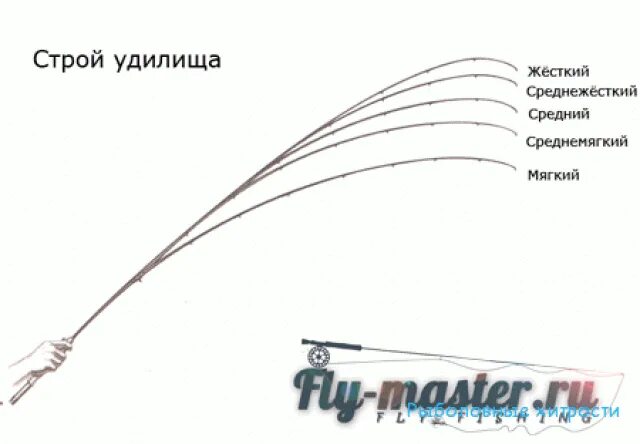 Medium Heavy Строй спиннинга. Строй спиннинговых удилищ таблица жесткости. Средний Строй фидерного удилища. Полупараболический Строй удилища что это. Строй fast