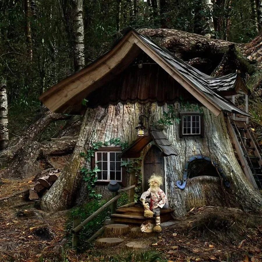 Жилище лешего. Избушка домового. Домик лешего. Приокско-террасный заповедник дом лешего. Домик лесовичка.