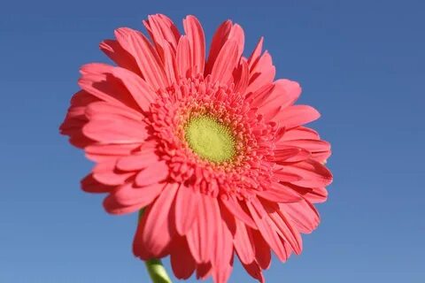 Башкирияның порно видеолары