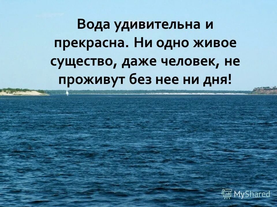 Вода удивительный целитель впр 4