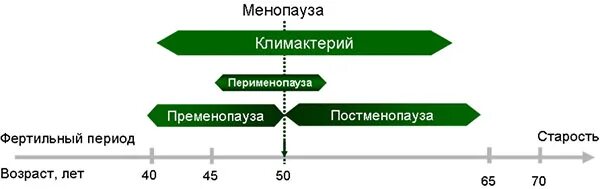 Периоды климактерического периода. Климактерический период схема. Фазы климактерического периода у женщин. Этапы менопаузы.