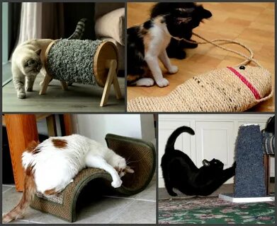 Почему коты дерут мебель