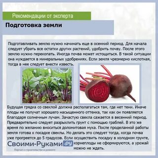 Сколько выходит свекла с калом