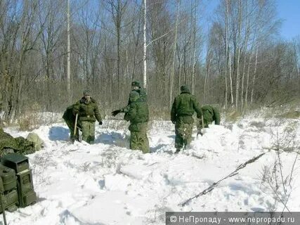 Жизнь полевая