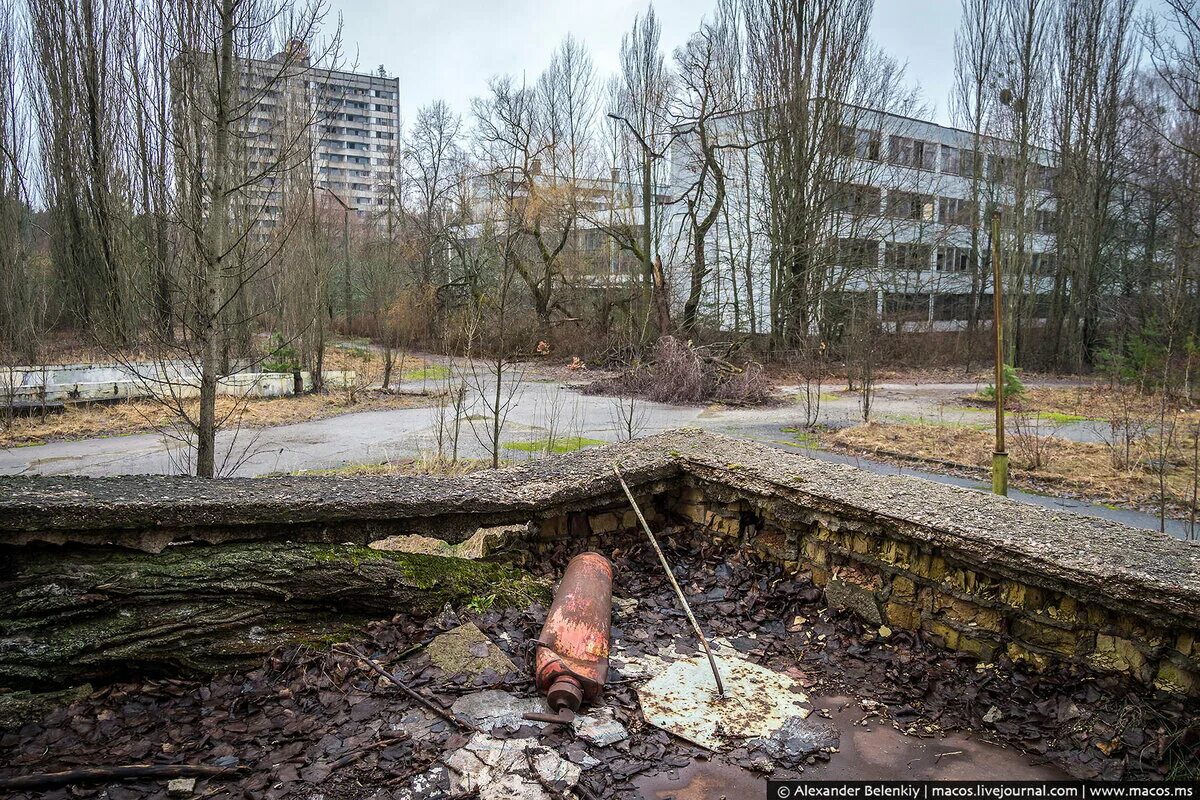 Что сейчас происходит в городе припять. Мертвый город припять. мертвый город чернобыль. мертвый город припять джунгли чернобыля. город чернобыль сейчас.