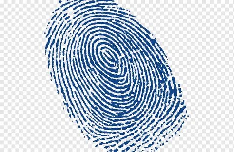 Fingerprinting javascript