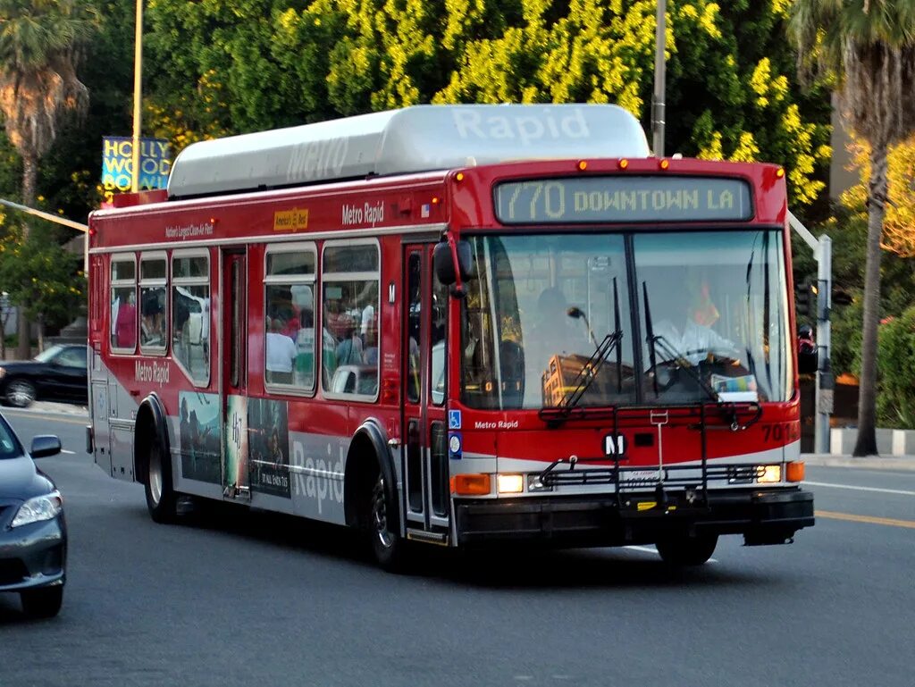 Городской автобусный транспорт. Городские автобусы США Лос-Анджелес. Транспорт автобус. Общественный транспорт в США. Автобусный транспорт в США.