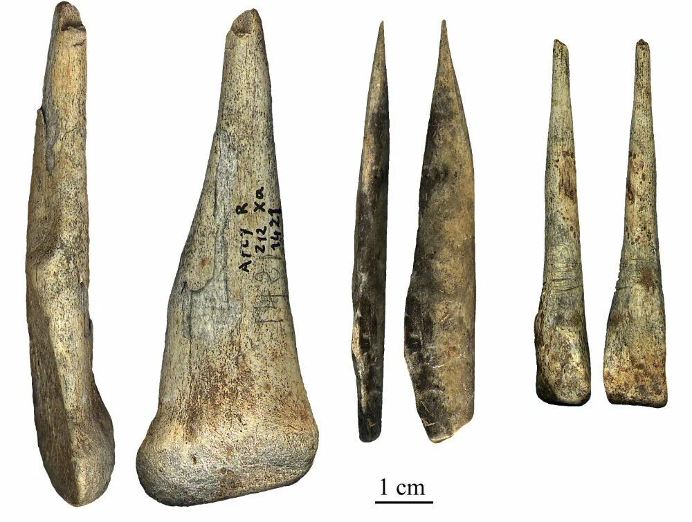 орудия труда древнего мира. древние каменные инструменты. каменные орудия костенки. артефакты додинастического египта. энеолит медный век.