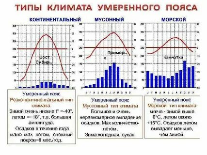 Умеренно климатический пояс резко континентальный климат