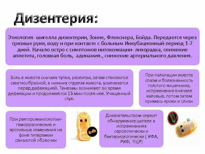 Дизентерия симптомы. Дизентерия флекснера и зонне. дизентерия этиология. дизентерия шигеллез этиология. шигеллез флекснера.