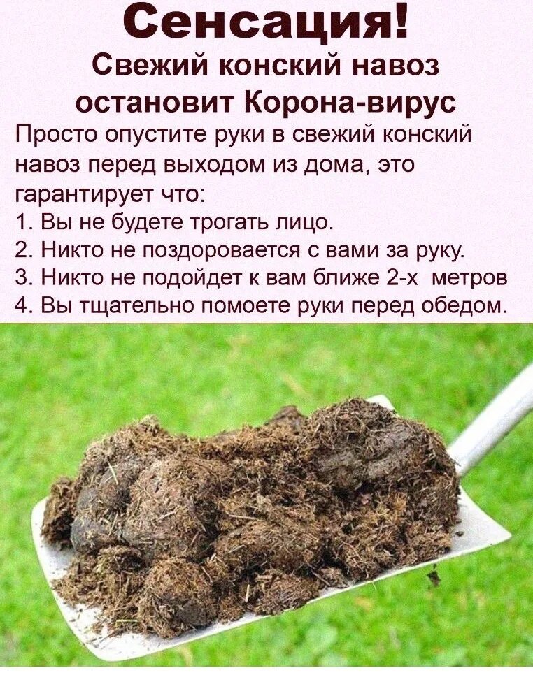Какие растения любят перегной