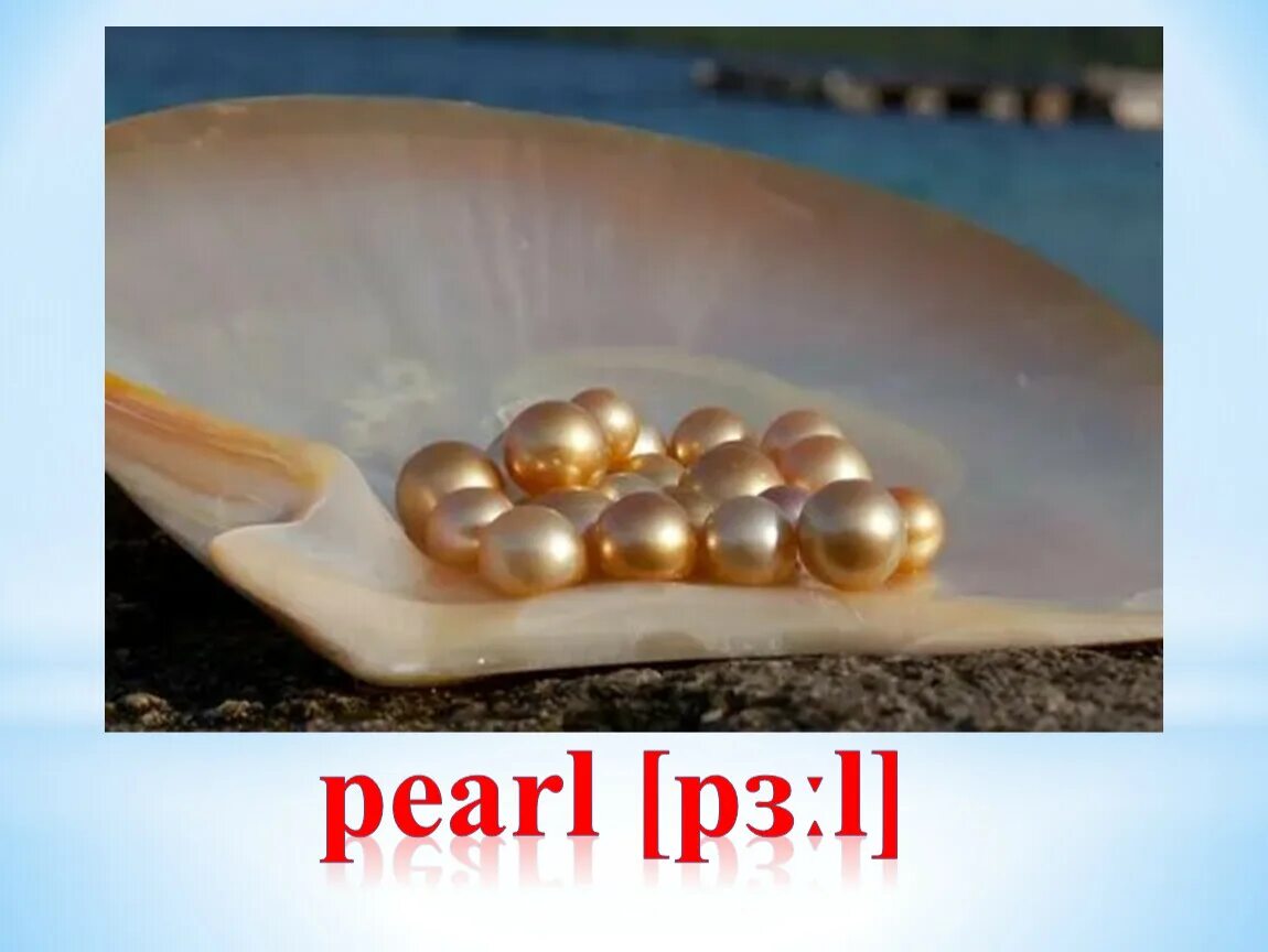 Ответ жемчужина. Рассыпанные жемчужины. Жемчуг слайд. Морская жемчужница моллюск. Беззубка жемчуг.