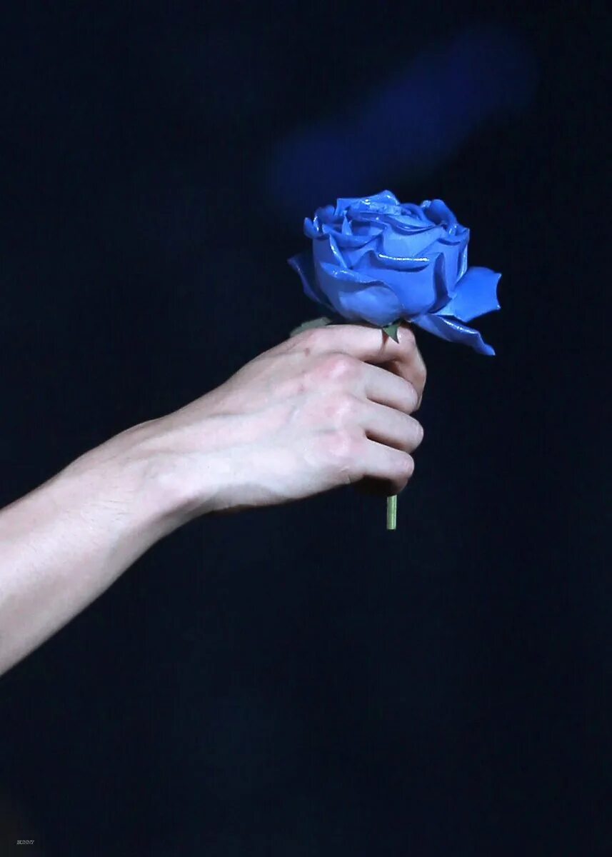 Цветок на руку.. Рука держит цветок. Цветы и руки Эстетика.