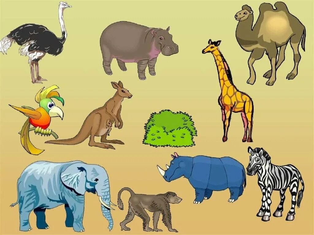 Животные африки старшая группа. Животные Африки для детей. Животные жарких стран. Животные аырикидля детей. Животные Африки для дошкольников.
