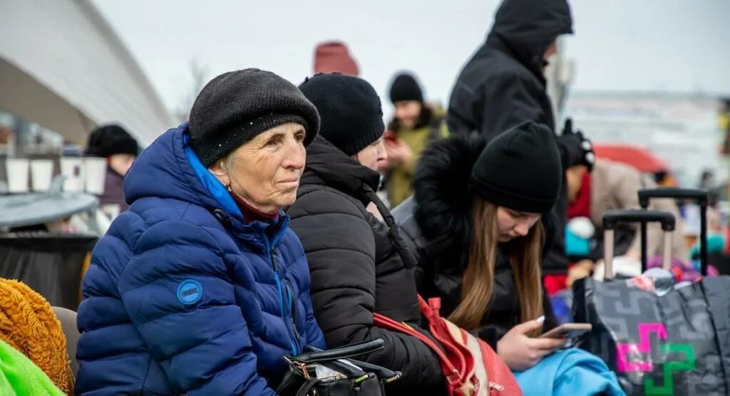 Украинские беженцы в норвегии. Беженцы из украины. люди уезжают. люди из россии. возвращение в украину из россии беженцы.