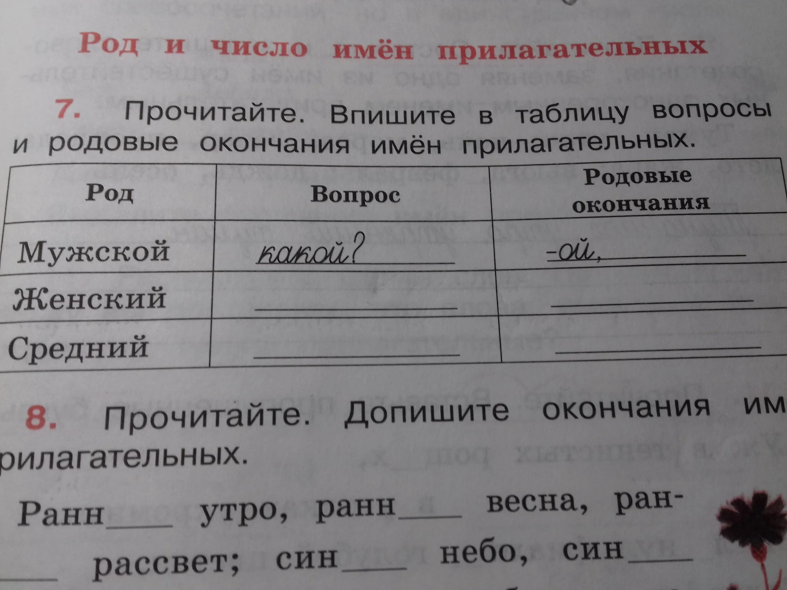 Читал какой род. Прочитайте. Впишите в таблицу. Впишите в таблицу вопросы и родовые окончания имён прилагательных. Вопросы и родовые окончания имен прилагательных. Таблица родовые окончания имен прилагательных.