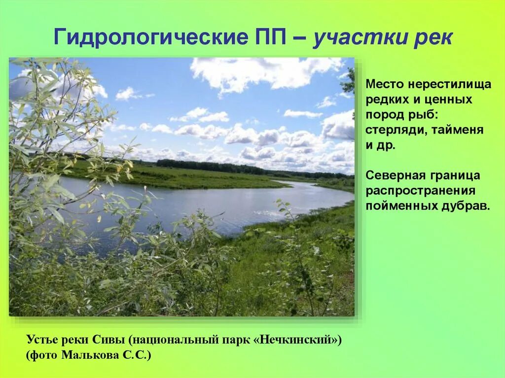 Гидрологические памятники природы. Презентация гидрологические памятники природы. Гидрологических памятников природы Ярославской области. Гидрологические памятники России. Гидрологический бюллетень воронежская область