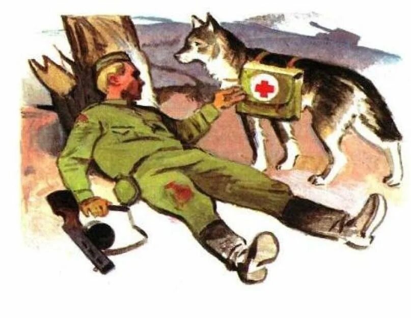 Рисунки животные на войне. Фронтовая собака санитар 1941. Собака санитар. Животные на войне рисунок.