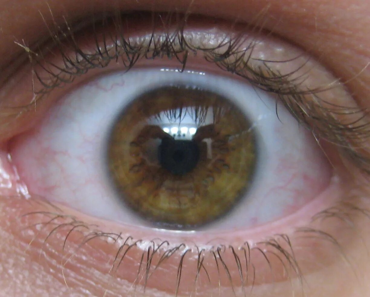 Буро желтые глаза. Хазел цвет глаз. Болотный цвет глаз. Серо болотные глаза. Болотно зеленые глаза.