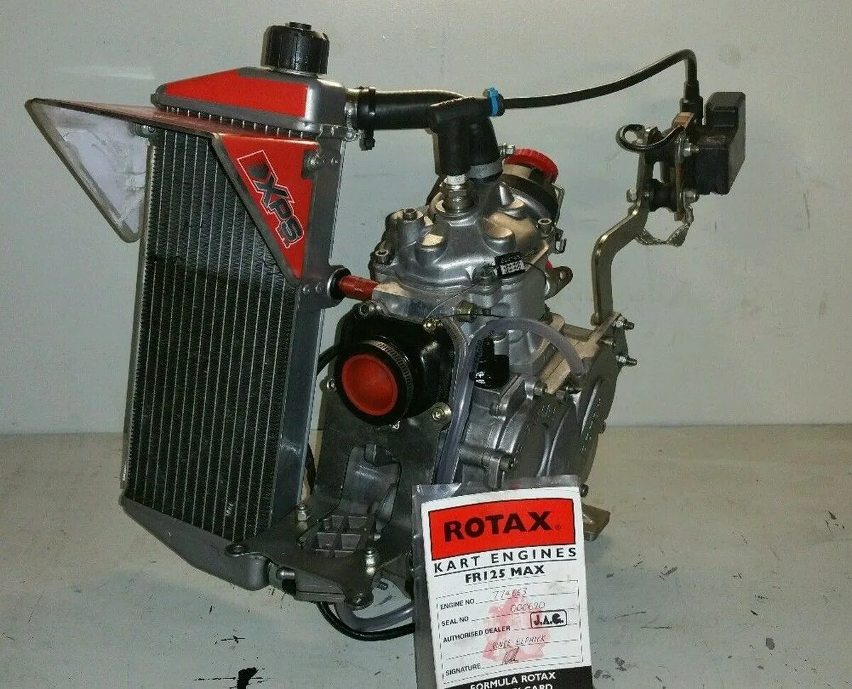 Сайт ротакс. Rotax fr125 max. двигатель rotax 125 max. радиатор ротакс макс 125. fr125max rotax fr125 max.