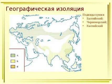 Географическая изоляция это