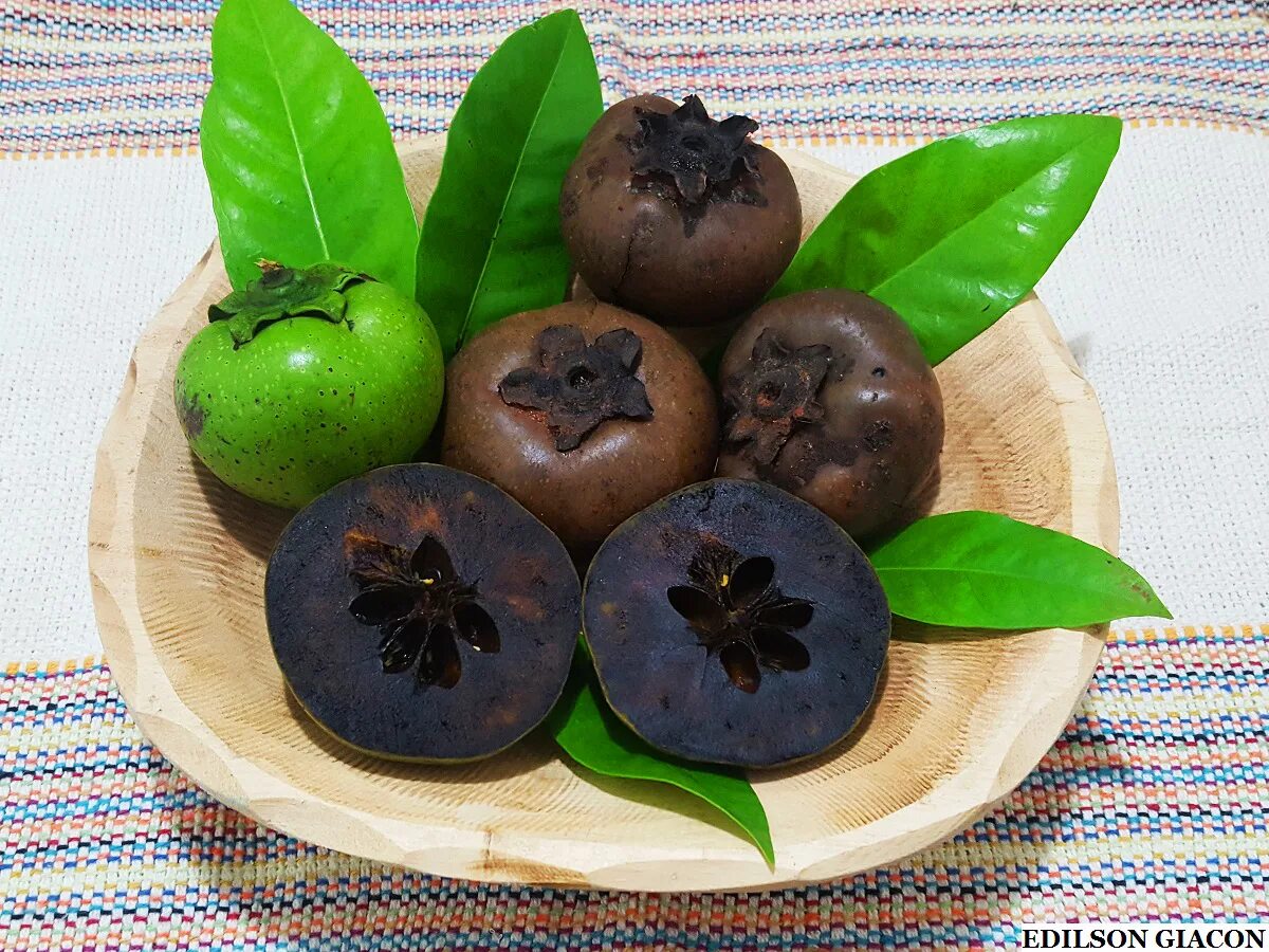 Фрукт черная сапота. Шоколадная хурма черная сапота. Сапота. Фрукт черная сапота. Черная сапота дерево.