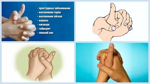 Мудр цы