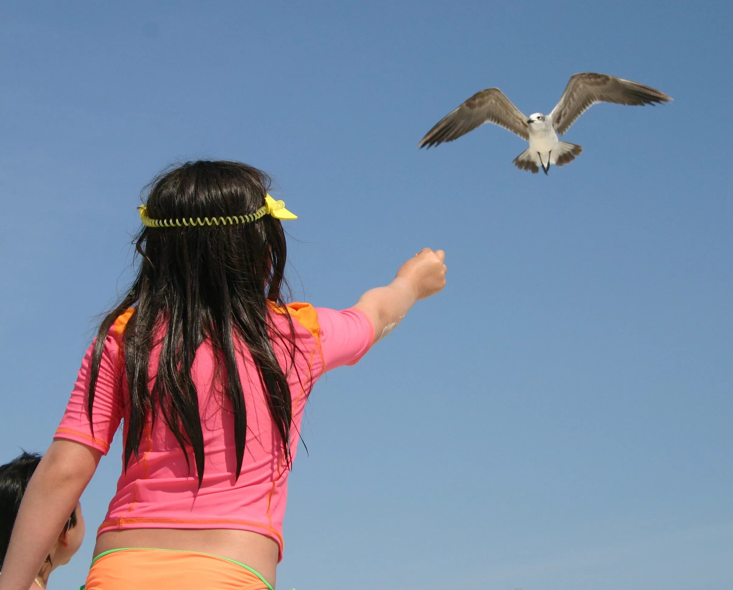 Birds children weather. Девочка с птицей. Девочка с птичкой. Птицы для детей. Девушка птица.