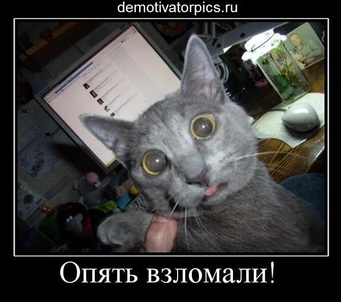 Хватит лазить на моей странице. Жил был пес шо опять. Зачем ты заходишь на мою страницу. Лёха лох. Снова душа разрывается на части.