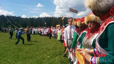 Ола морки