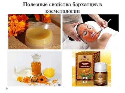 Применение цветов бархатцев в медицине