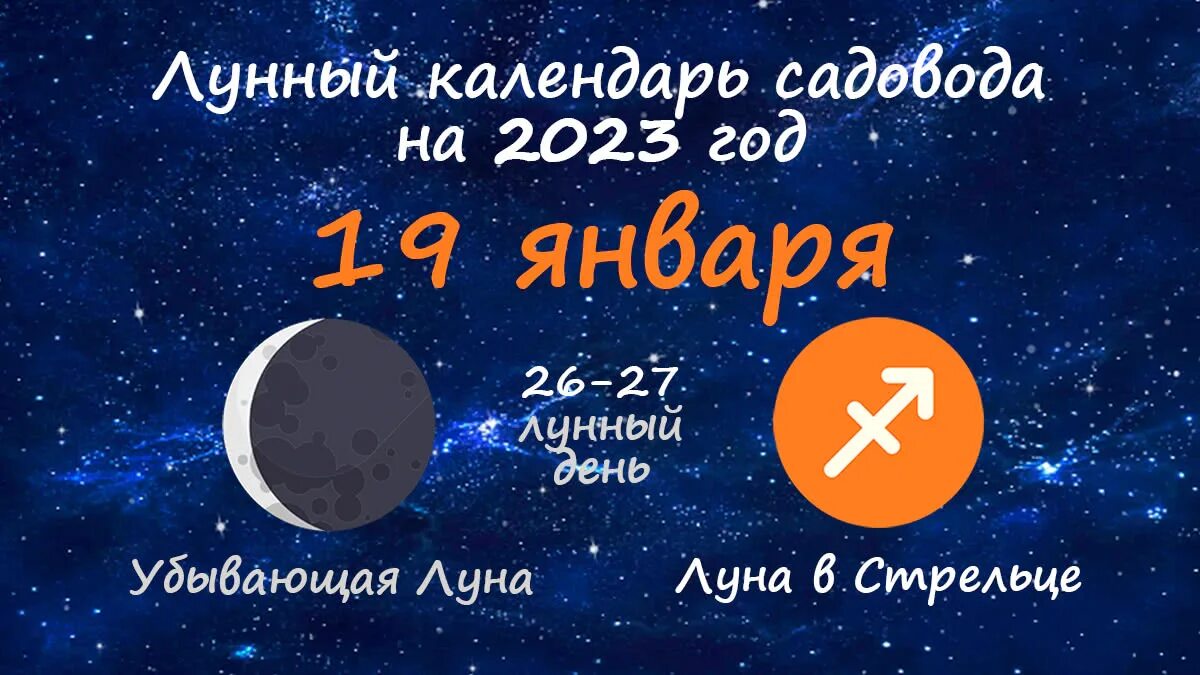 Лунный календарь посадок на декабрь 2023