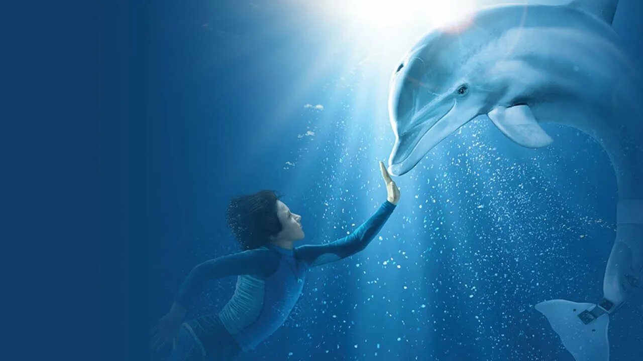 Люди дельфины песня. Dolphin Tale 2011. Дельфины люди моря. Человек Дельфин. Обои с дельфинами.