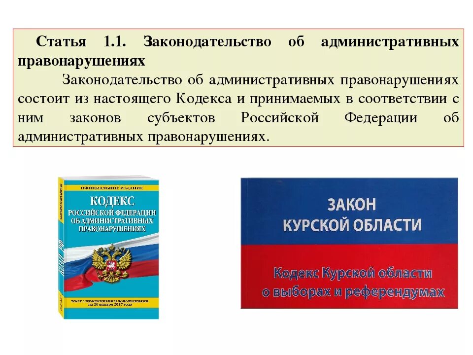 Есть статья об административном правонарушения. Законодательство РФ об административных правонарушениях состоит из. Структура законодательства об административных правонарушениях РФ. Законодательство субъектов РФ об административных правонарушениях. Законы субъектов РФ об административных правонарушениях.