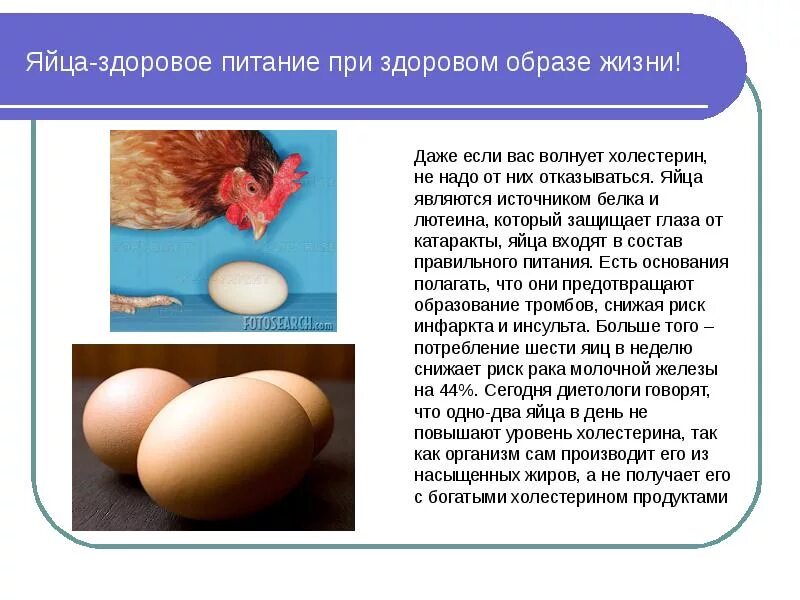 Яйца в пищу употребляют. Здоровое питание яйца. Яйца источник. Почему в яйцах бывает кровь